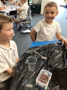 Term 6- Week 4