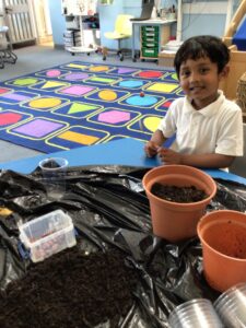 Term 6- Week 4