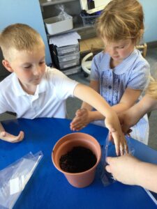 Term 6- Week 4