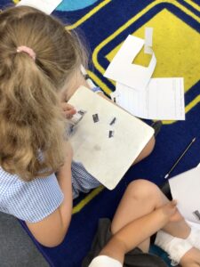 Term 6- Week 7
