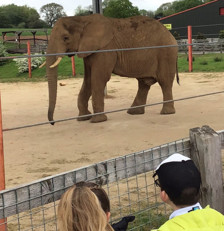 Pupils enjoy memorable visit to Noah’s Ark Zoo