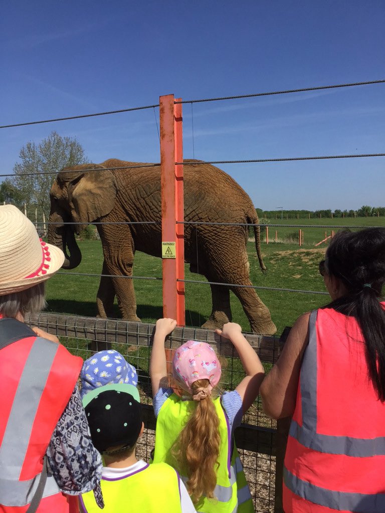 Uphill Village pupils enjoy exciting visit to Noah’s Ark Zoo Farm