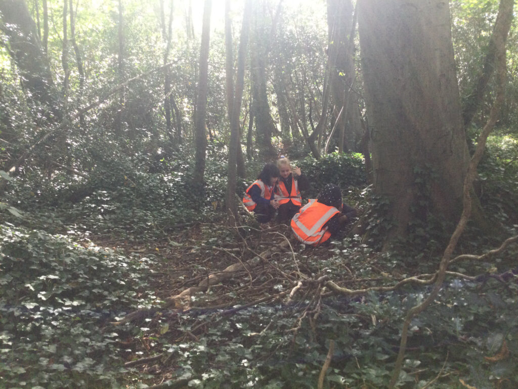 Pupils explore exploring the beauty of Bluebell Woods