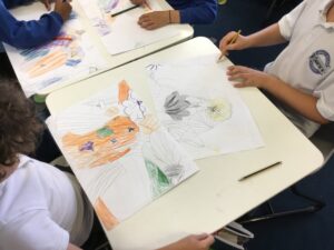 Term 6 Week 7