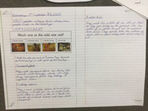 Term 1 Week 3