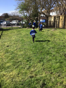Term 4- Week 6