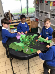 Term 6- Week 1
