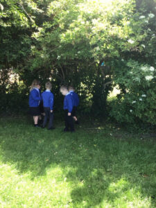 Term 6- Week 1