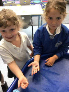 Term 6- Week 3