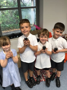 Term 6- Week 3