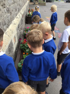 Term 6- Week 5