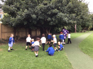 Term 6- Week 5