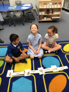 Term 6- Week 7