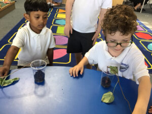Term 6- Week 7