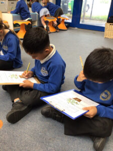 Term 6- Week 1