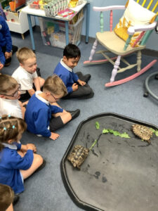Term 6- Week 4