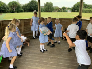 Term 6- Week 5