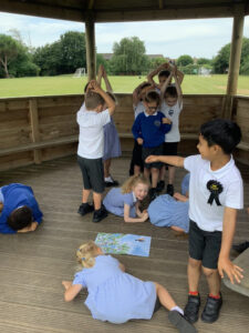 Term 6- Week 5