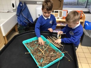 Term 1- Week 6